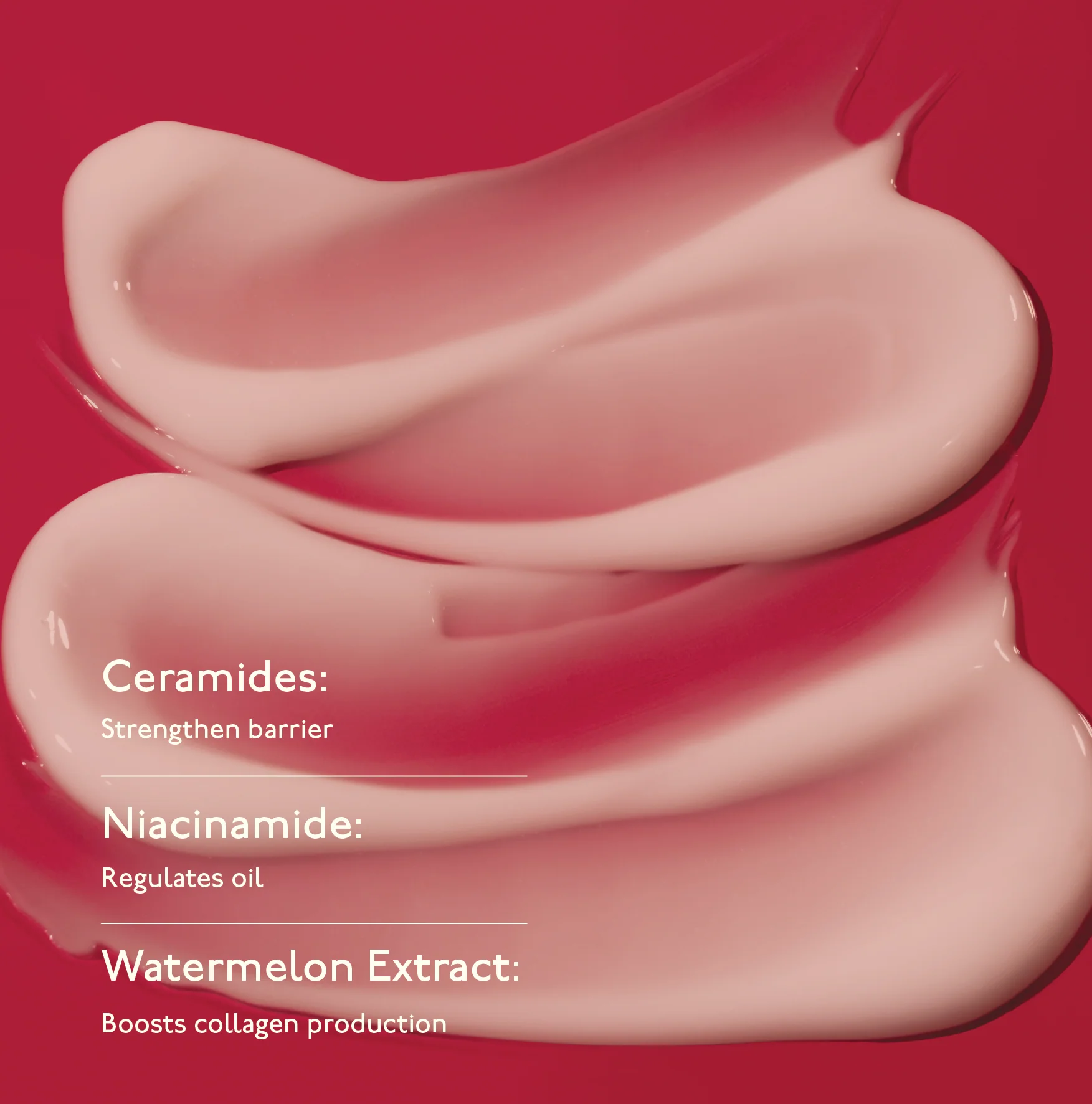 Moisture Cocoon Creme - Hydrating & Glow Moisturizer with Niacinamide - Image 3